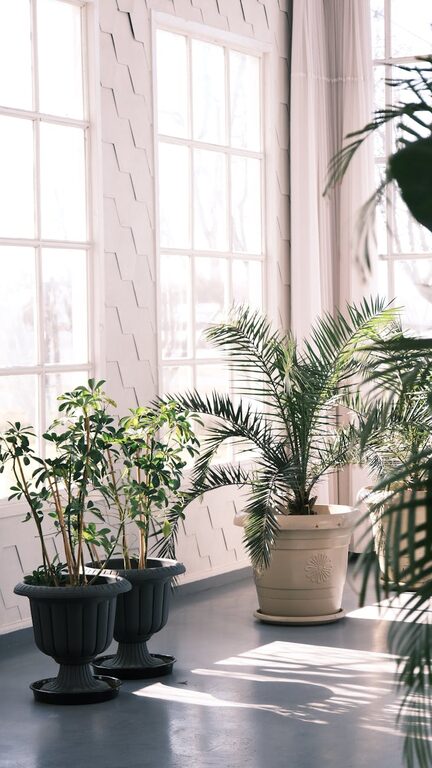 Easy Ways to Create a Relaxing Home Environment for Better Well-Being